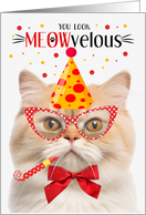Munchkin Cat MEOWvelous Birthday card