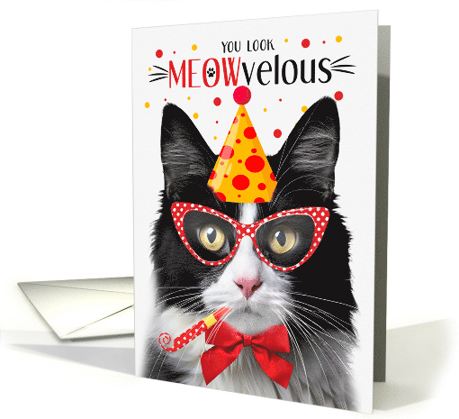 Black and White Tuxedo Cat Cat MEOWvelous Birthday card (1830220)