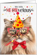 Tri Color Persian Cat MEOWvelous Birthday card