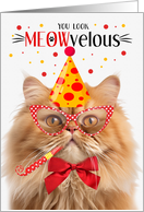 Orange Tabby Persian Cat MEOWvelous Birthday card