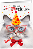 Lilac Point Ragdoll Cat MEOWvelous Birthday card