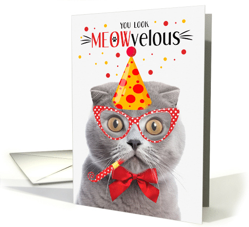 Scottish Fold Gray Cat MEOWvelous Birthday card (1831062)