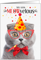 Scottish Fold Gray Cat MEOWvelous Birthday card