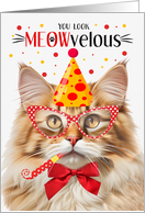 Fluffy Orange Tabby Cat MEOWvelous Birthday card