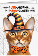 Abyssinian Halloween Cat PURRanormal MEOWolween card