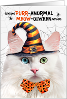 Angora Halloween Cat PURRanormal MEOWolween card