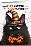 Black Fluffy Halloween Cat PURRanormal MEOWolween card