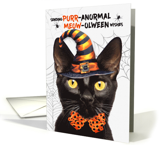 Black Bombay Halloween Cat PURRanormal MEOWolween card (1831704)
