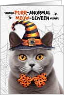 Gray British Shorthair Halloween Cat PURRanormal MEOWolween card