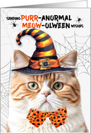 Orange British Shorthair Halloween Cat PURRanormal MEOWolween card