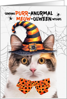 Calico Halloween Cat PURRanormal MEOWolween card