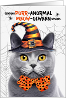 Gray Chartreux Halloween Cat PURRanormal MEOWolween card
