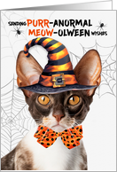 Cornish Rex Halloween Cat PURRanormal MEOWolween card