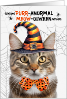 Tabby and White Halloween Cat PURRanormal MEOWolween card