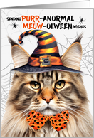 Maine Coon Tabby Halloween Cat PURRanormal MEOWolween card