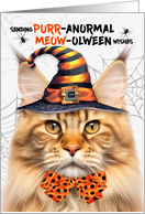 Red Tabby Maine Coon Halloween Cat PURRanormal MEOWolween card