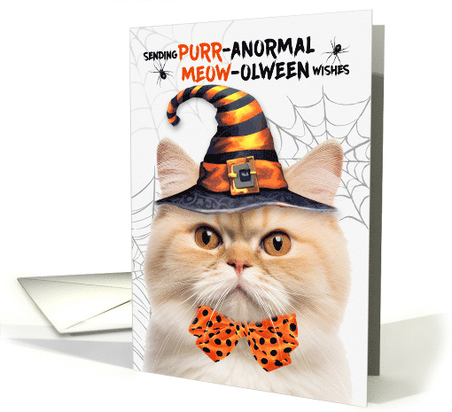 Munchkin Halloween Cat PURRanormal MEOWolween card (1833292)