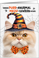 Munchkin Halloween Cat PURRanormal MEOWolween card