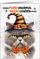 Gray Persian Halloween Cat PURRanormal MEOWolween card
