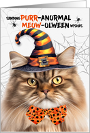 Tri Color Tabby Persian Halloween Cat PURRanormal MEOWolween card