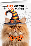 Orange Tabby Persian Halloween Cat PURRanormal MEOWolween card