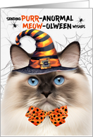 Ragdoll Seal Point Halloween Cat PURRanormal MEOWolween card