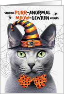 Russian Blue Halloween Cat PURRanormal MEOWolween card