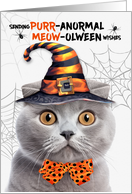 Scottish Fold Gray Halloween Cat PURRanormal MEOWolween card
