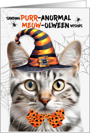 Silver Tabby Halloween Cat PURRanormal MEOWolween card
