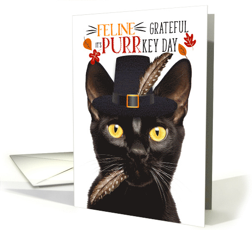 Bombay Black Thanksgiving Cat Feline Grateful for PURRkey Day card