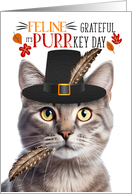 Champagne Tabby Thanksgiving Cat Grateful PURRkey Day card