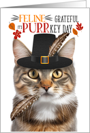 Brown Tabby Thanksgiving Cat Grateful PURRkey Day card