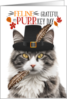 Gray and White Tabby Thanksgiving Cat Grateful PURRkey Day card