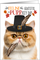 Orange Tabby Exotic Shorthair Thanksgiving Cat PURRkey Day card