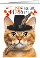 Ginger Tabby Cat Thanksgiving Cat PURRkey Day card