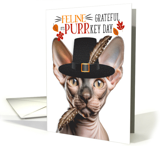 Sphynx Thanksgiving Cat Grateful for PURRkey Day card (1840648)