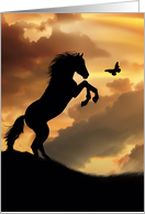 Horse and Butterfly Blank Note Any Occasion In Sunset Cute card