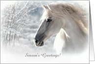 Horse in the Snow Seasons Greetings with Flowing Mane Custom Text card