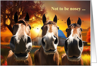 Thinking of You Funny Humorous 3 Horses and a Barn Checking In card