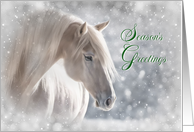 Seasons Greetings Christmas Holiday Pretty Horse in the Snow card