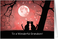 Grandson Valentines Day with Two Cats and Hearts Custom Cover Text card