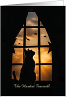Cat Sympathy with Cat in Window Looking Up at Birds Custom Text card
