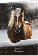 Seasons Greetings Pretty Brown Horse in the Snow Custom Text card