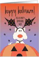 Halloween For Veterinarian with Fluffy Dog in Pumpkin with Bat Ears card