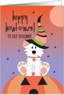 Halloween For Pet Groomer with Fluffy Dog on Pumpkin with Witch Hat card