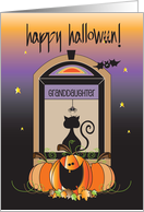 Halloween for Granddaughter Away at College Black Cat and Pumpkins card