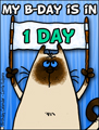 my birthday, 1 day untill my birthday, kitty, reminder,