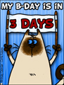 my birthday, 3 days untill my birthday, kitty, reminder,