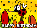 happy birthday, b-day,congratulations,hip hip hurray, tulips, ladybug