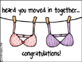 moving in lesbian, girls, bra, homosexual, domestic partner, domestic partnership, civil union, committment ceremony, vows, living together, moving in together, move in together, roommate, congratulations, sharre, sharing